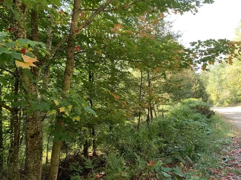 Lot 2 Brooks Park Road Stewartstown NH 03597