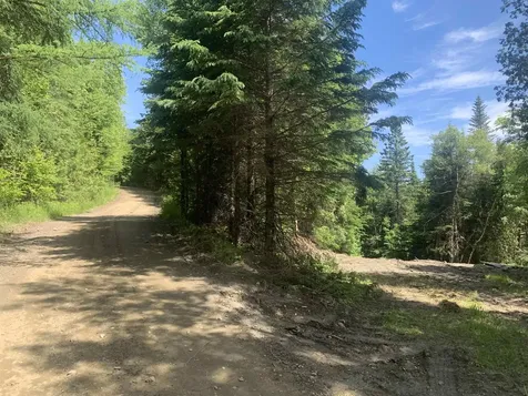 Lot 2 Brooks Park Road Stewartstown NH 03597