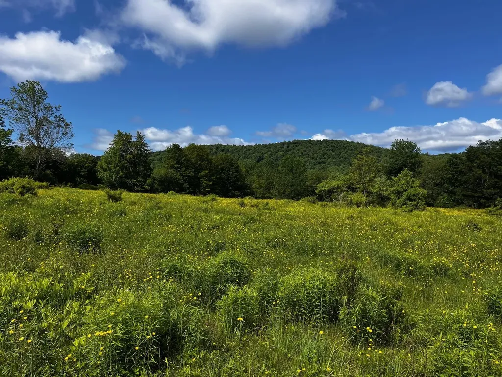 0 Stimpson Hill Road Whitingham VT 05361