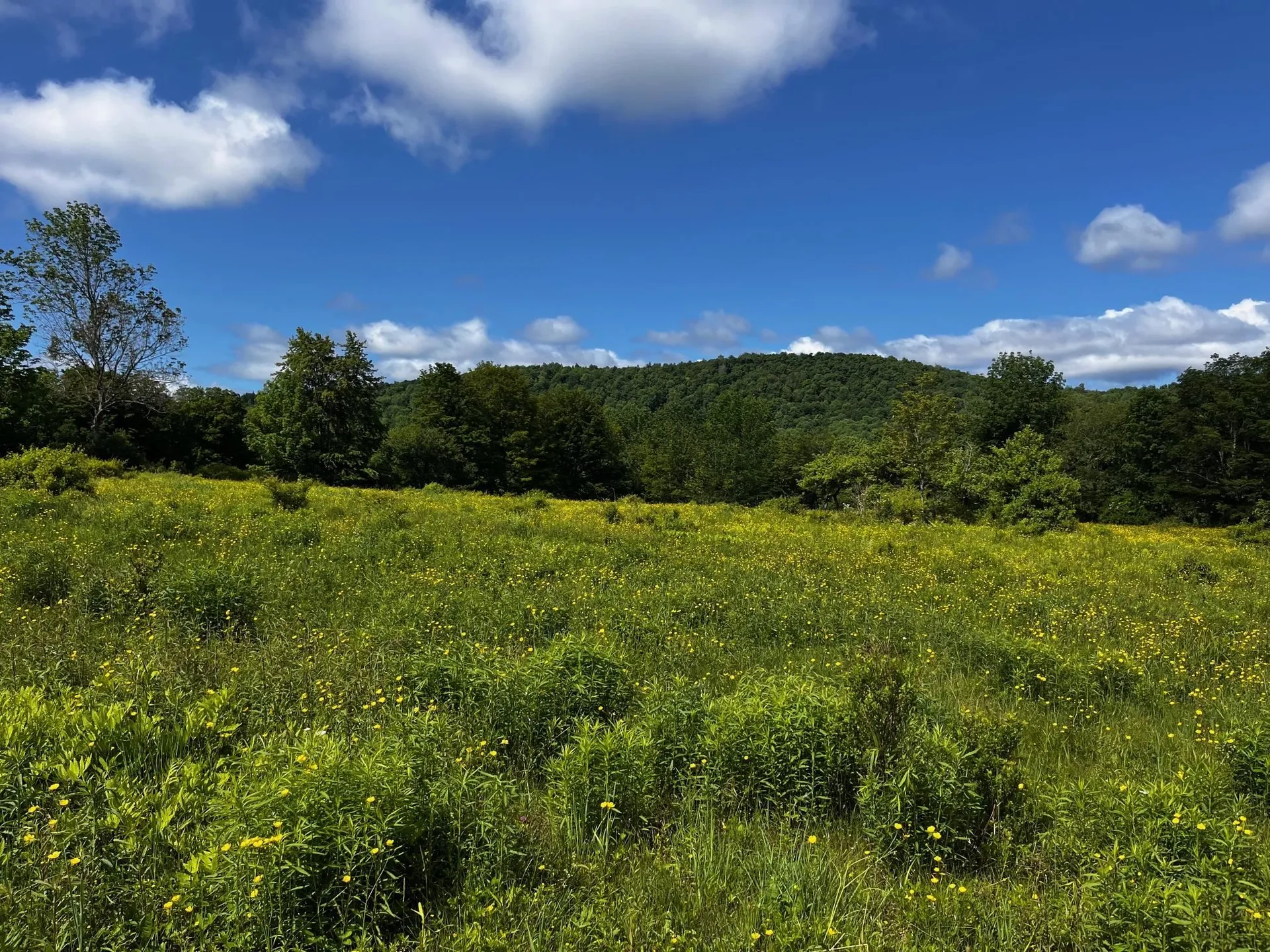 0 Stimpson Hill Road Whitingham VT 05361