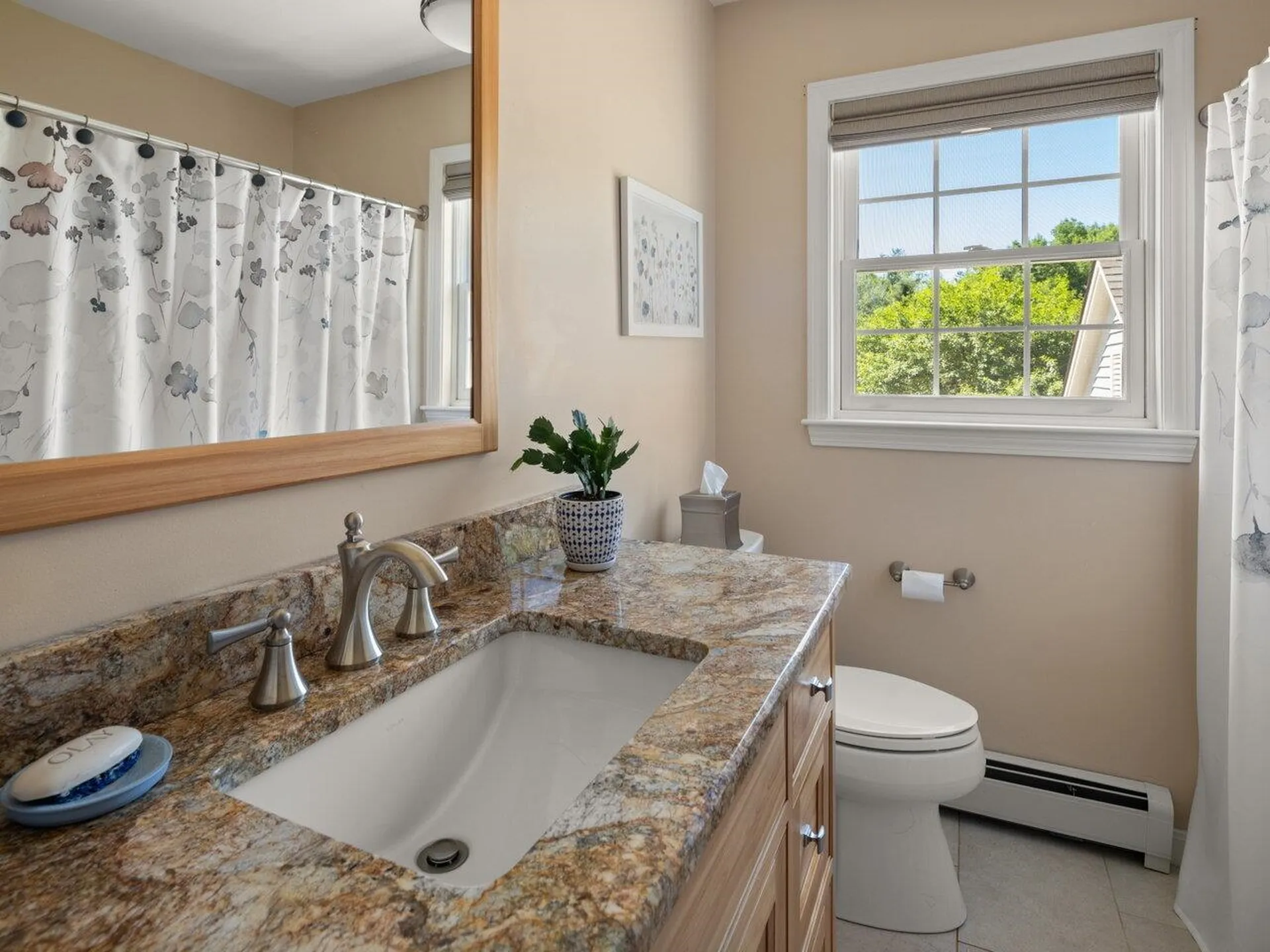 298 Littlefield Drive Shelburne VT 05482