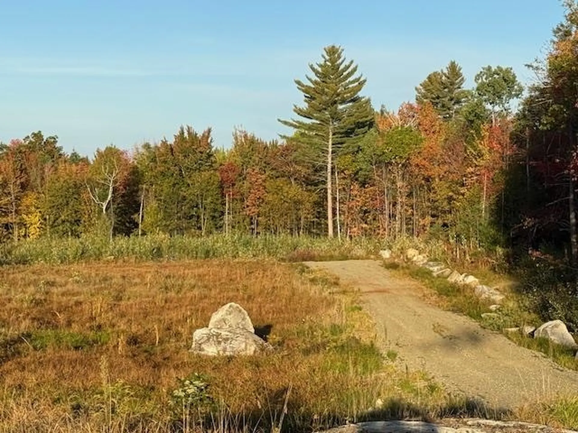 Lot 3 Old East Road Whitefield NH 03598