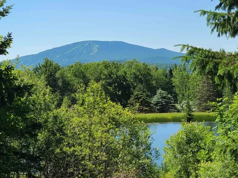 33 Clovers Way Peru VT 05152