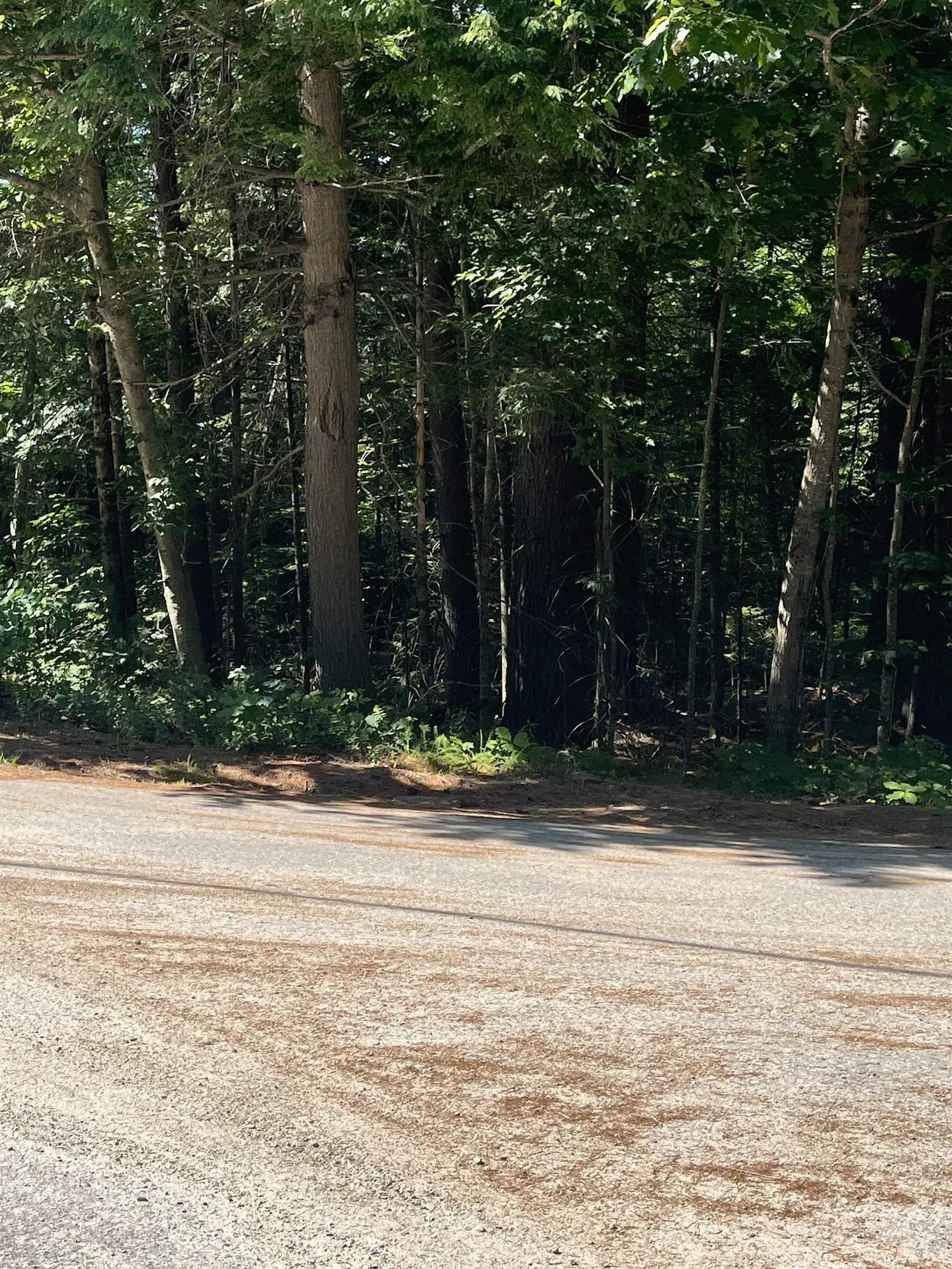 00 North Rd./hemlock Lane Danbury NH 03230