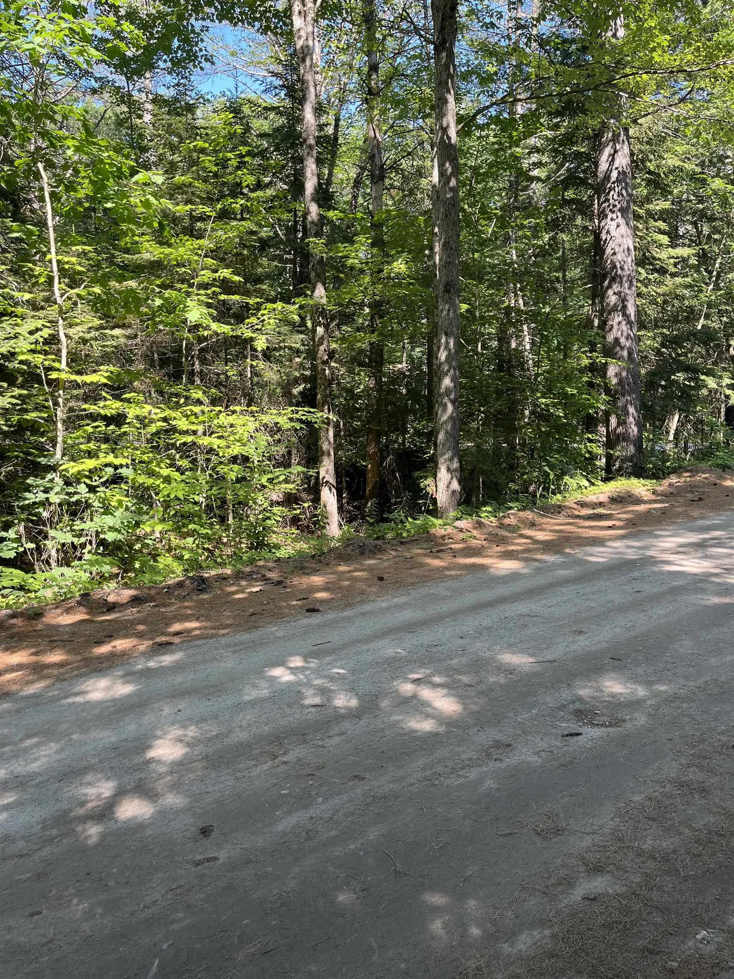 00 North Rd./hemlock Lane Danbury NH 03230