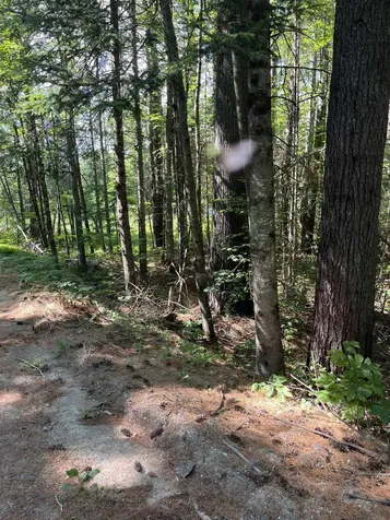 00 North Rd./hemlock Lane Danbury NH 03230