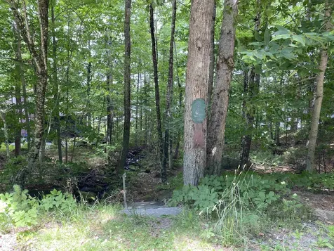 260 Forest Acres Road New London NH 03257
