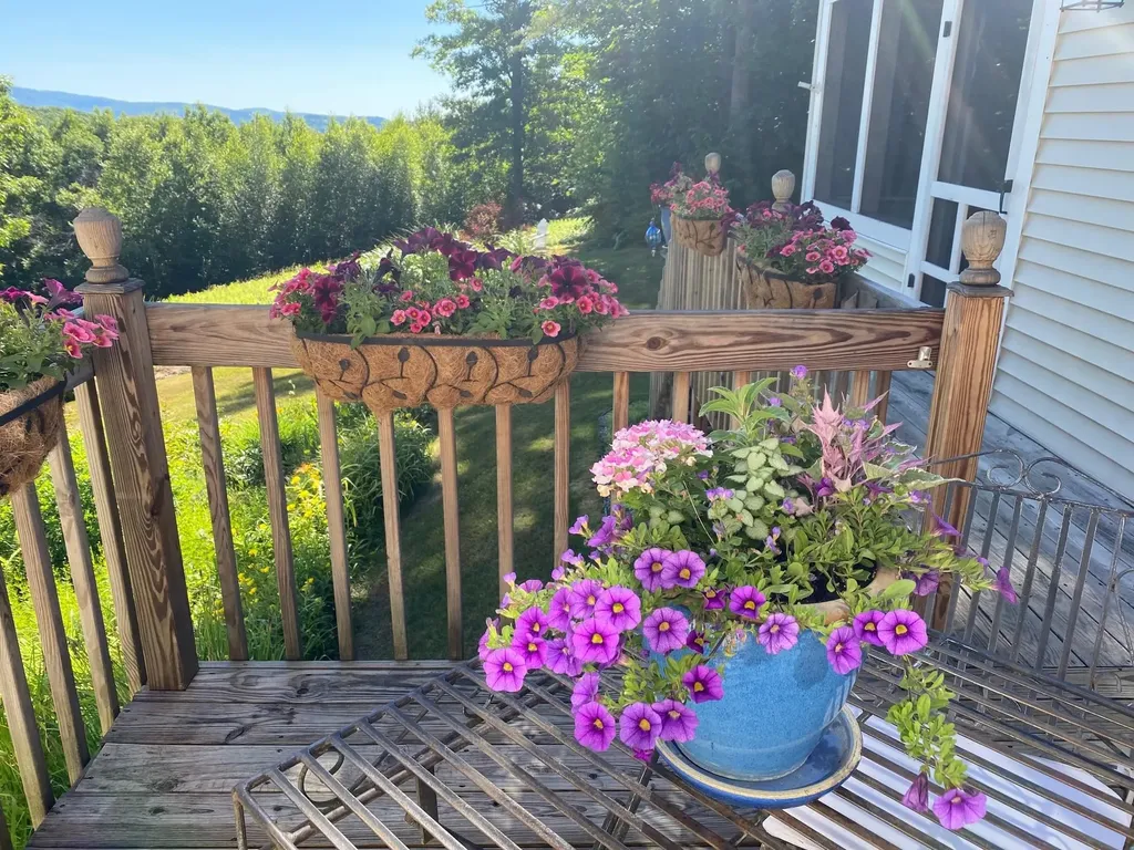 24 Meadow Road Newbury NH 03255