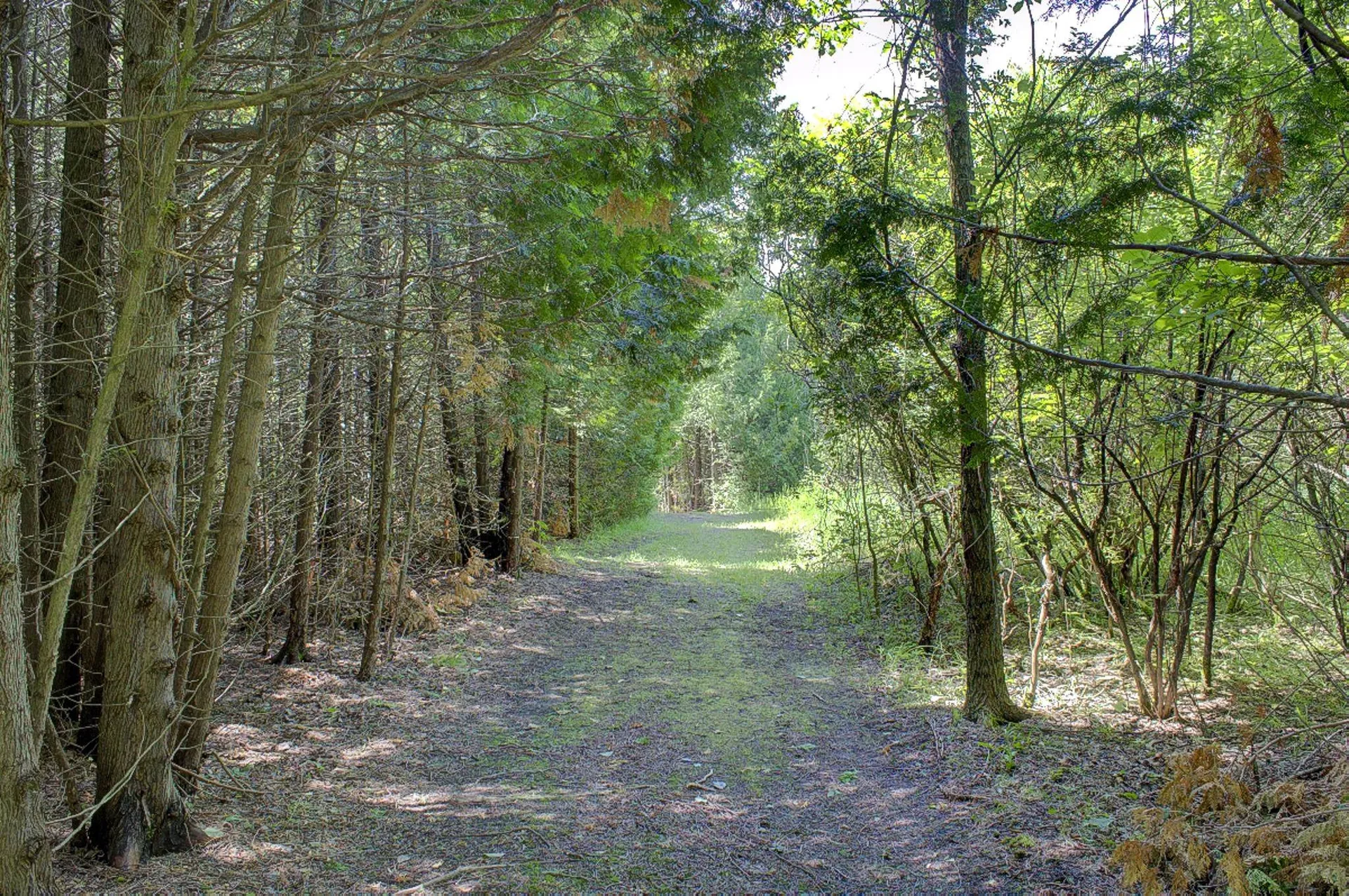 1391 Pelots Point Road North Hero VT 05458