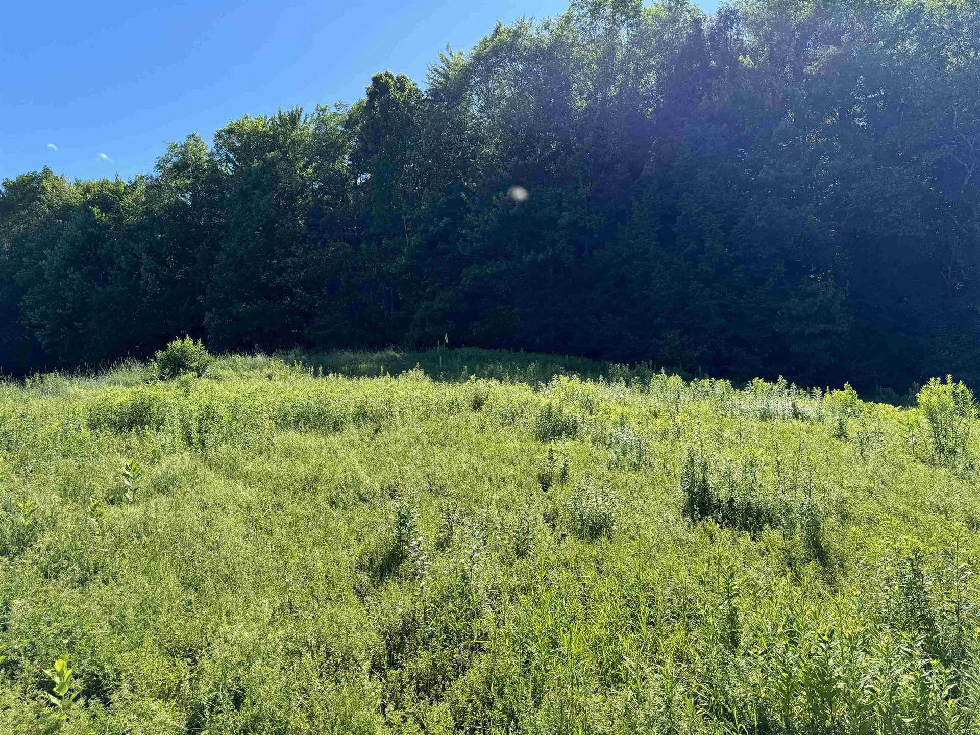 334 Cochran Road Morristown VT 05661