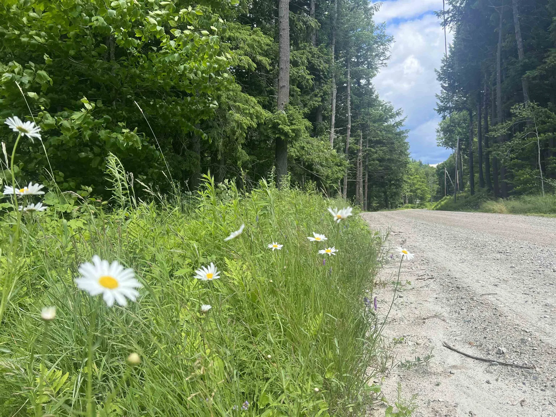 3483 Popple Dungeon Road Chester VT 05143