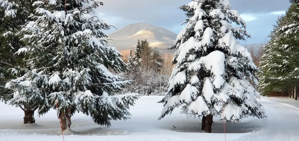 3086 Hazens Notch Road Montgomery VT 05471