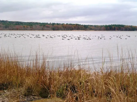 11 Osprey Lane Newmarket NH 03857