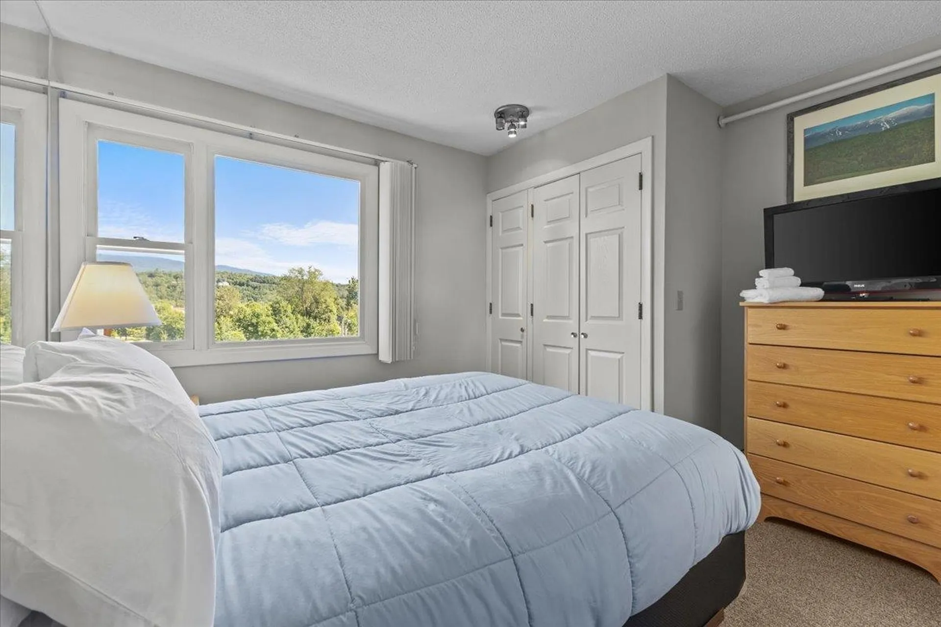 107 Mountainside Drive Stowe VT 05672
