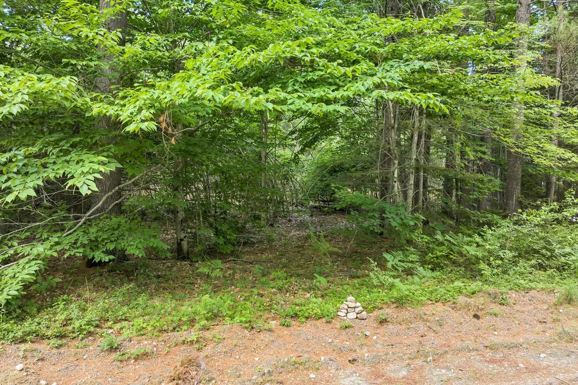 62 Stevens Road Effingham NH 03882