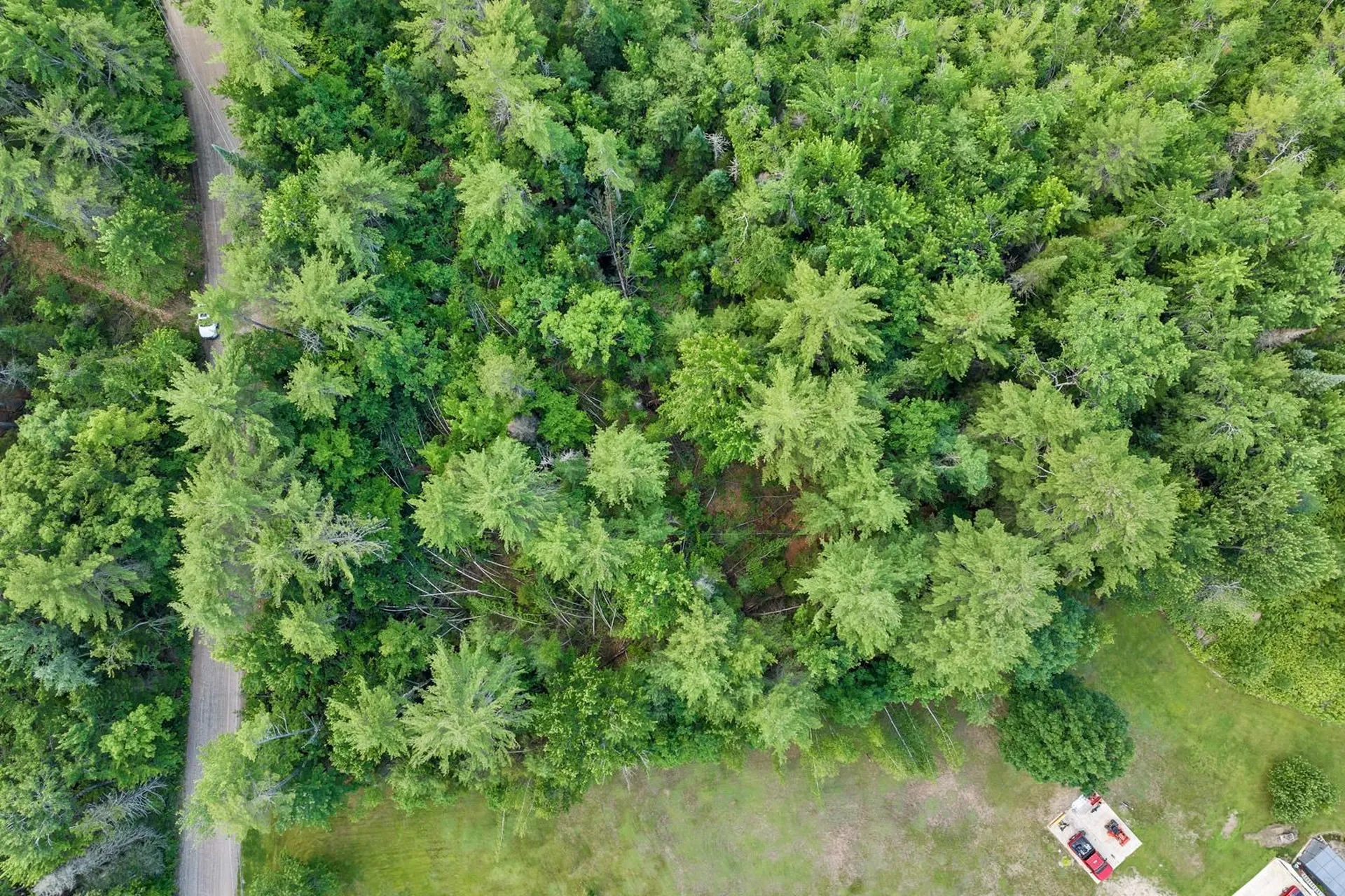 62 Stevens Road Effingham NH 03882