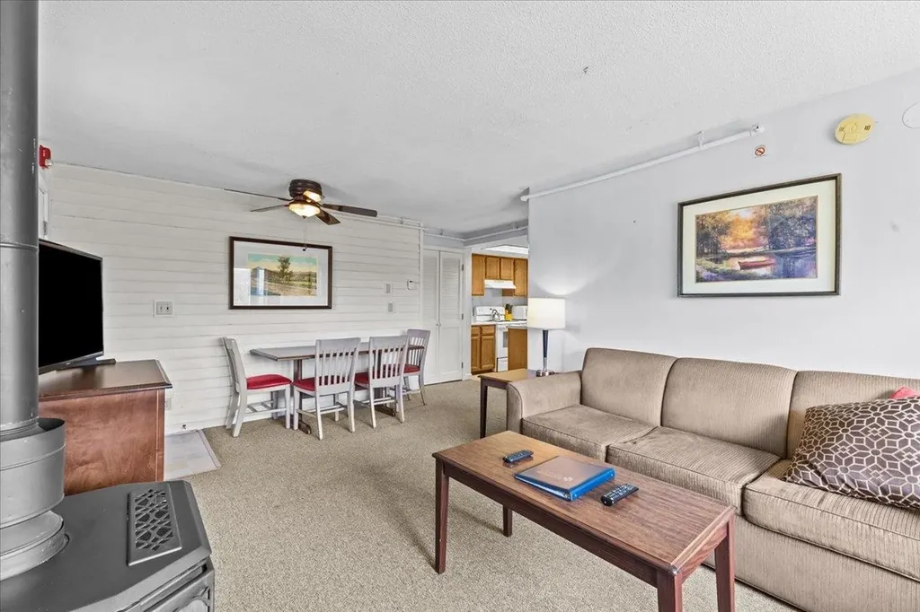 199 Mountainside Drive Stowe VT 05672