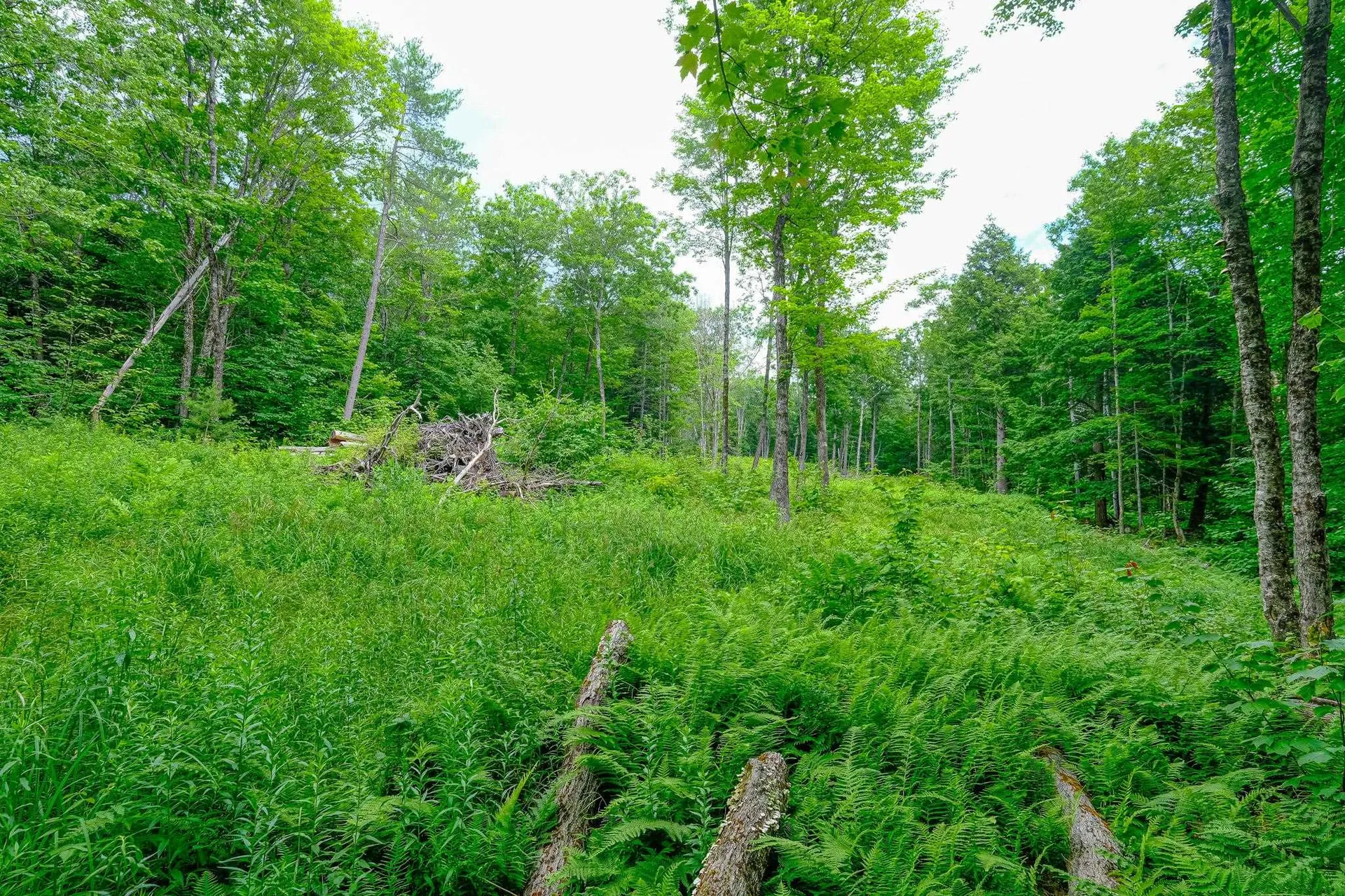 Lot 2a Preedom Hill Road North Ludlow VT 05149