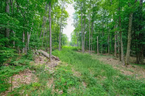 Lot 2a Preedom Hill Road North Ludlow VT 05149