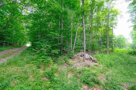 Lot 2a Preedom Hill Road North Ludlow VT 05149