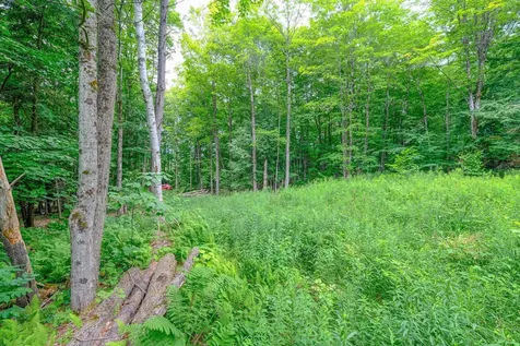 Lot 2a Preedom Hill Road North Ludlow VT 05149