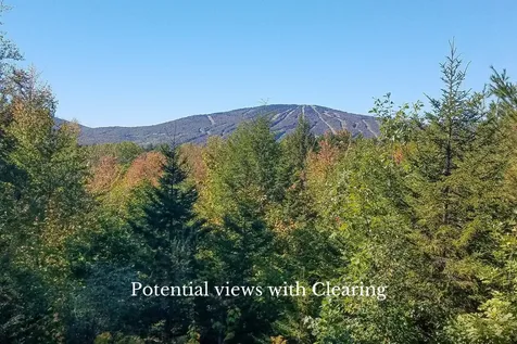 Lot 2a Preedom Hill Road North Ludlow VT 05149