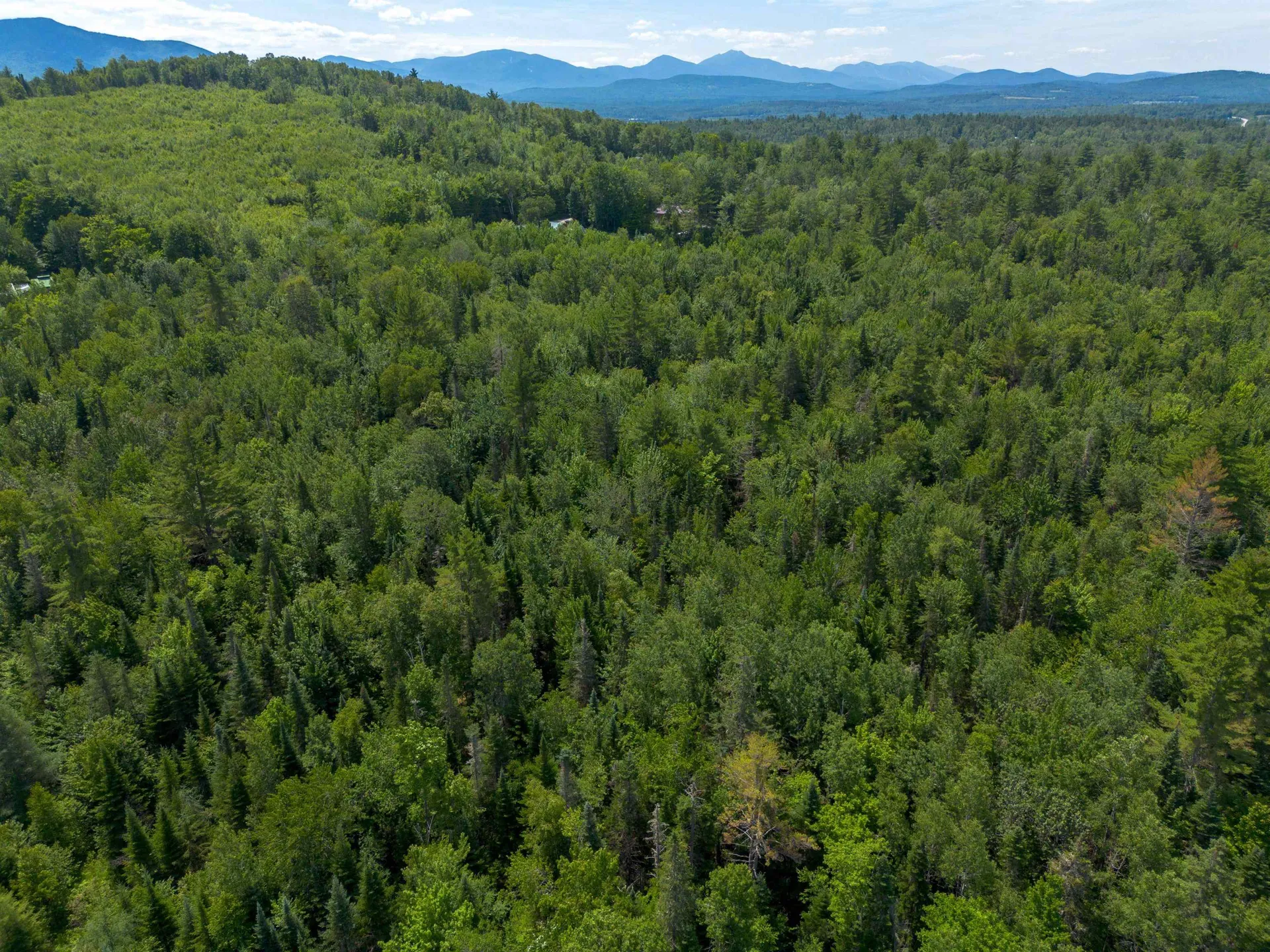 205 Bray Hill Road Whitefield NH 03598