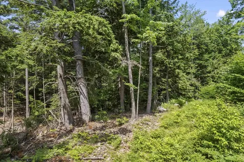 00 Diane Place Wakefield NH 03872