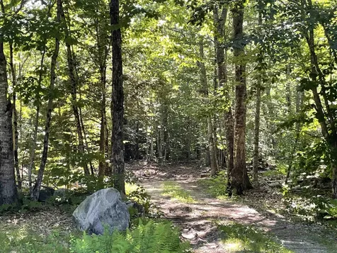 Map 217 Lot 22 Mount Israel Road Sandwich NH 03227