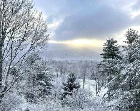 59-30 Murray Hill Heights Drive Manchester VT 05255