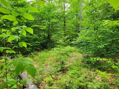 0 Thurston Road Brownfield ME 04010