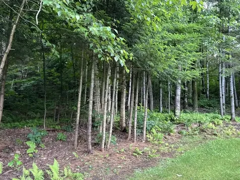 575 Lucier Road Jay VT 05859