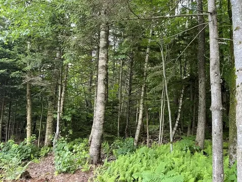 575 Lucier Road Jay VT 05859