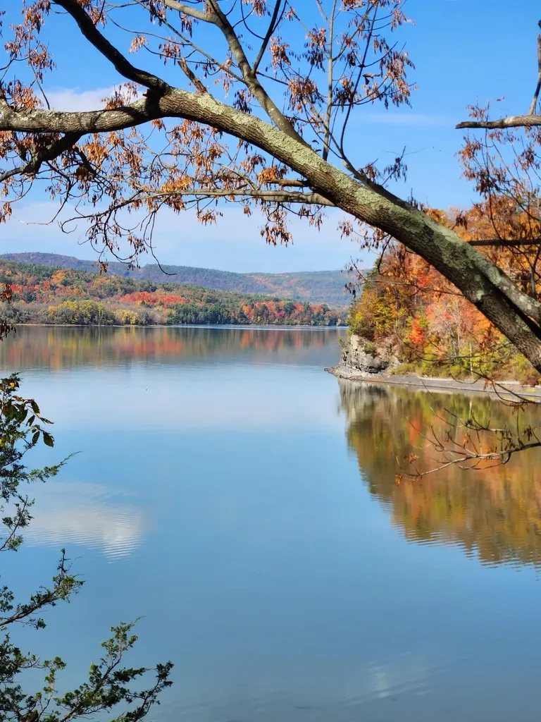 193 Stevens Orchard Road Orwell VT 05733