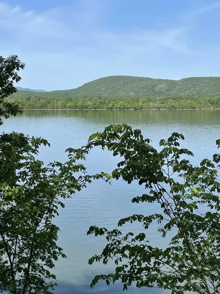 193 Stevens Orchard Road Orwell VT 05733
