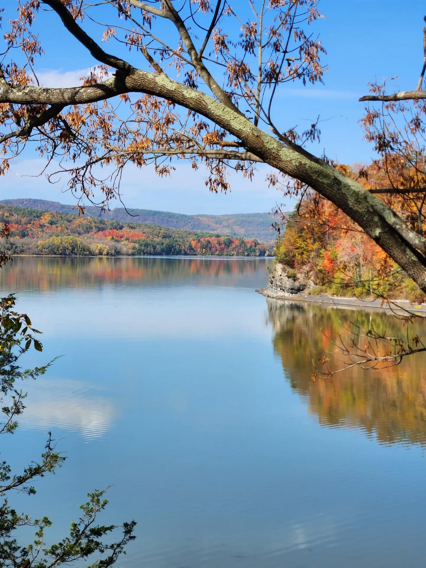 193 Stevens Orchard Road Orwell VT 05733