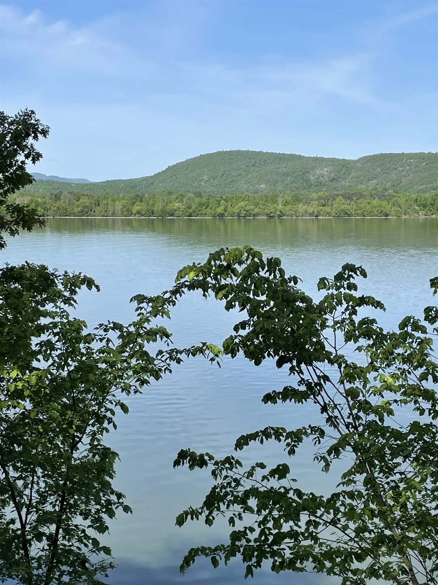 193 Stevens Orchard Road Orwell VT 05733