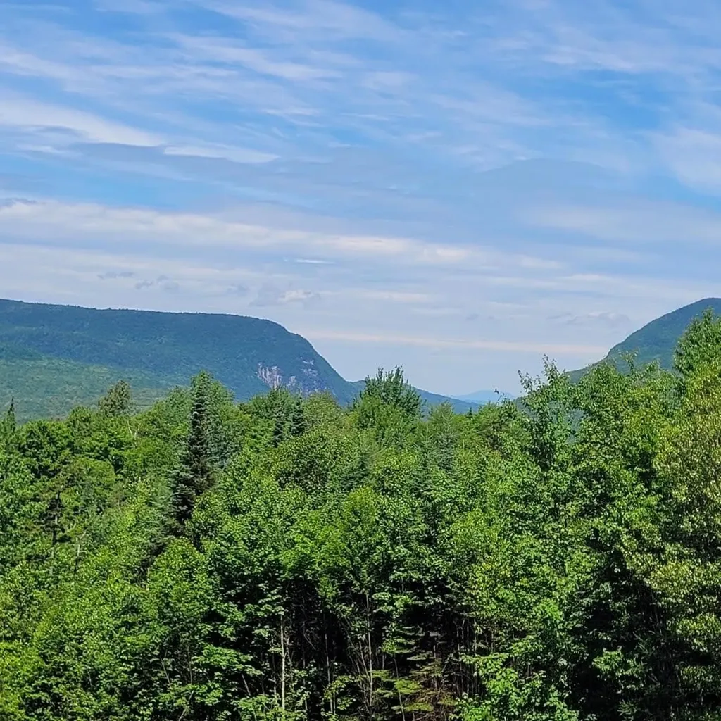 Off Rocky Road Newark VT 05871