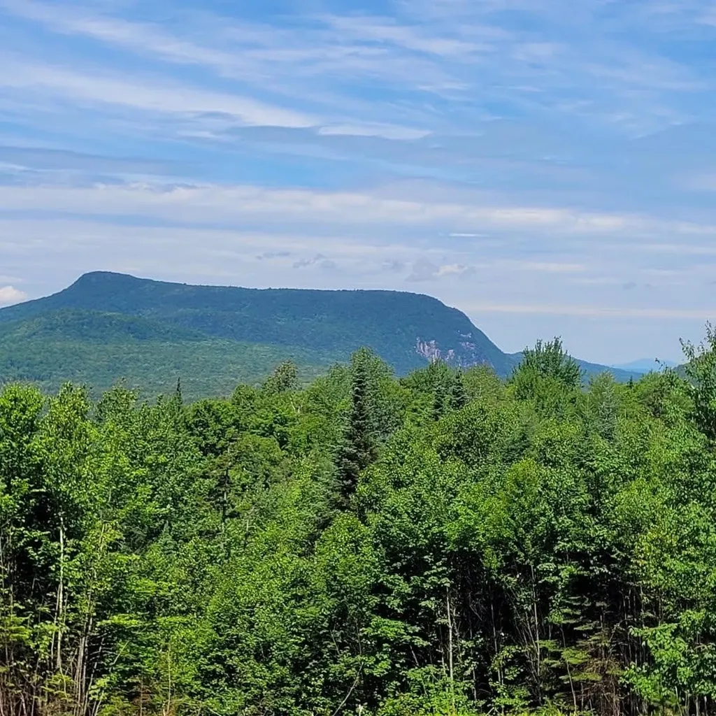 Off Rocky Road Newark VT 05871
