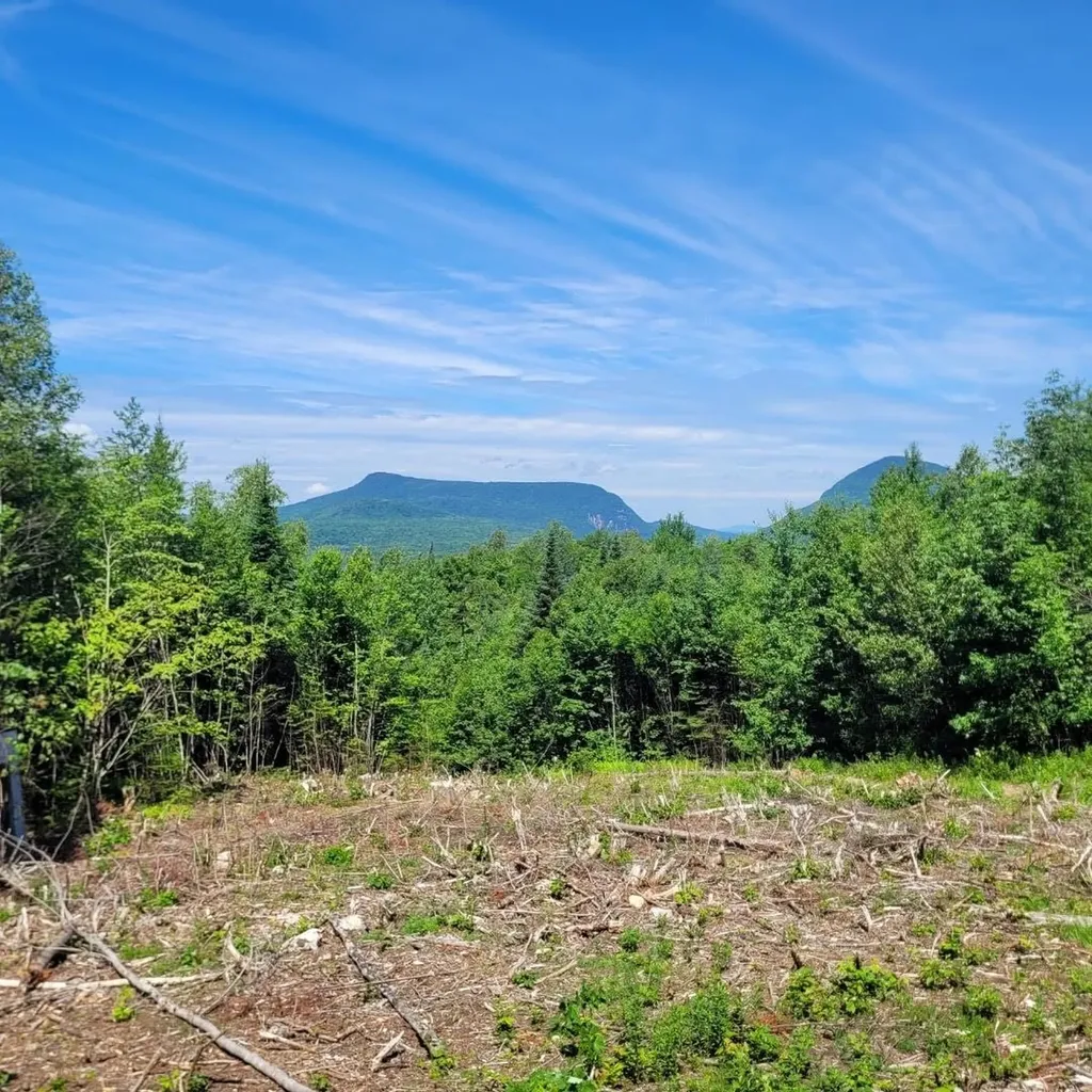 Off Rocky Road Newark VT 05871