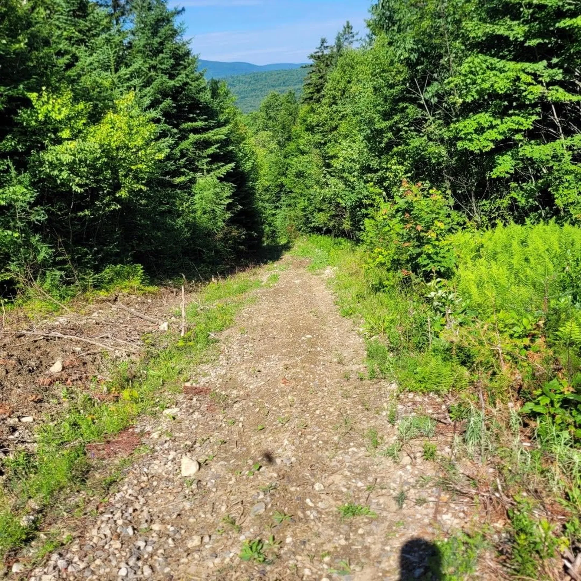 Off Rocky Road Newark VT 05871