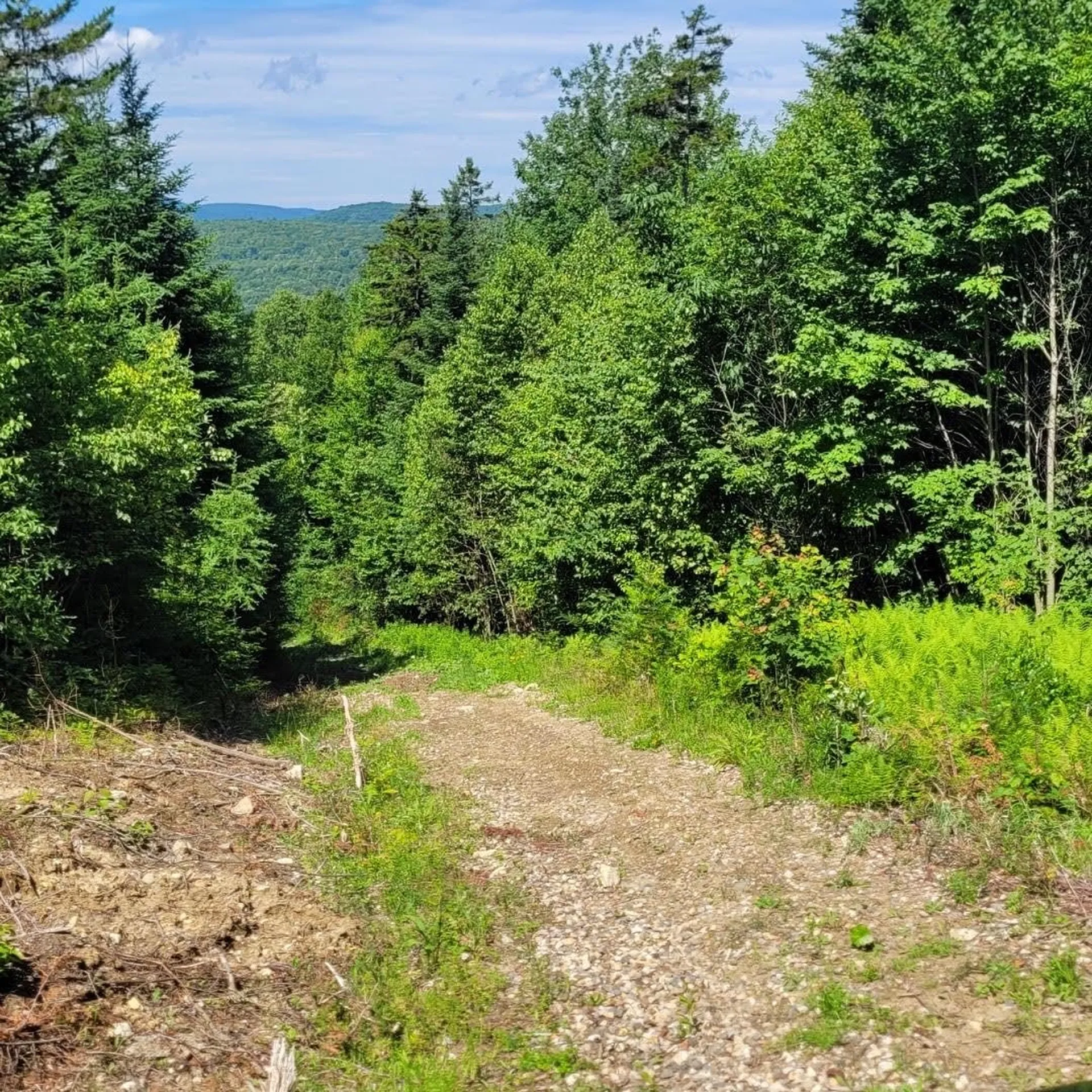 Off Rocky Road Newark VT 05871