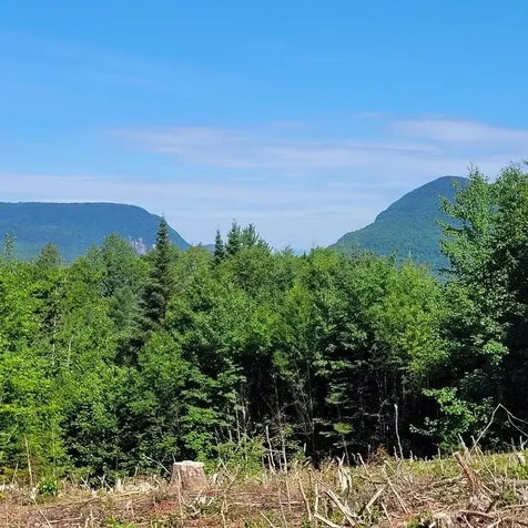 Off Rocky Road Newark VT 05871
