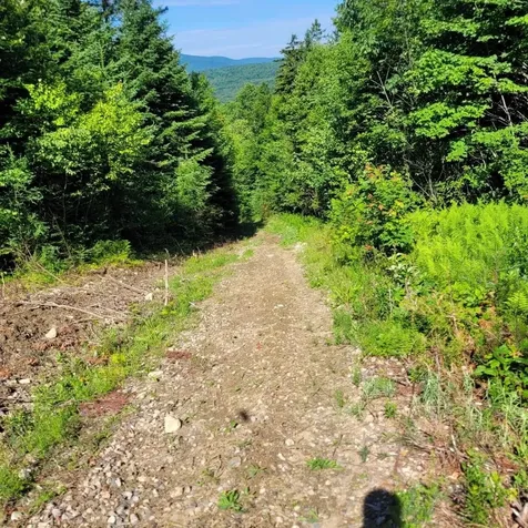 Off Rocky Road Newark VT 05871