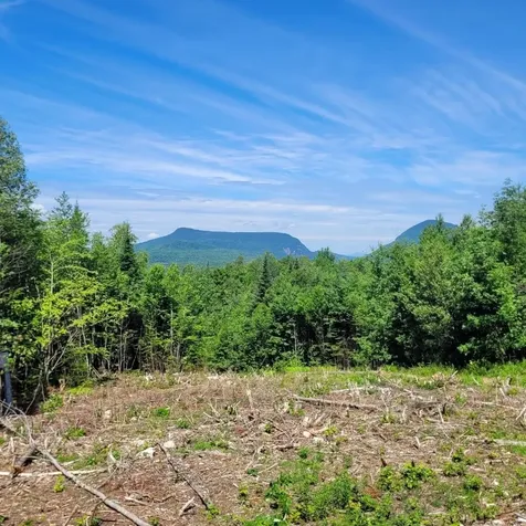 Off Rocky Road Newark VT 05871