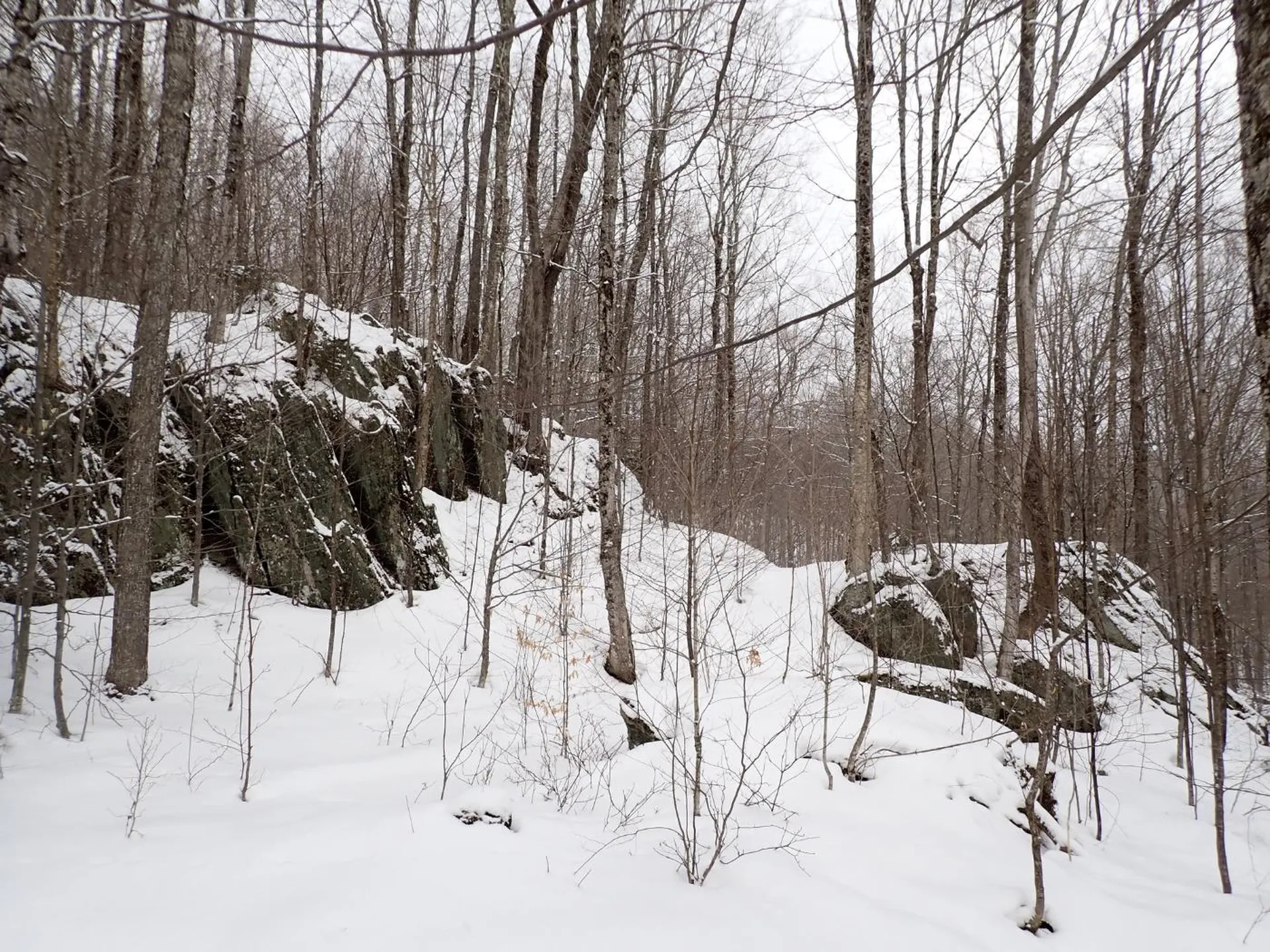 00 Plunkton Road Warren VT 05674