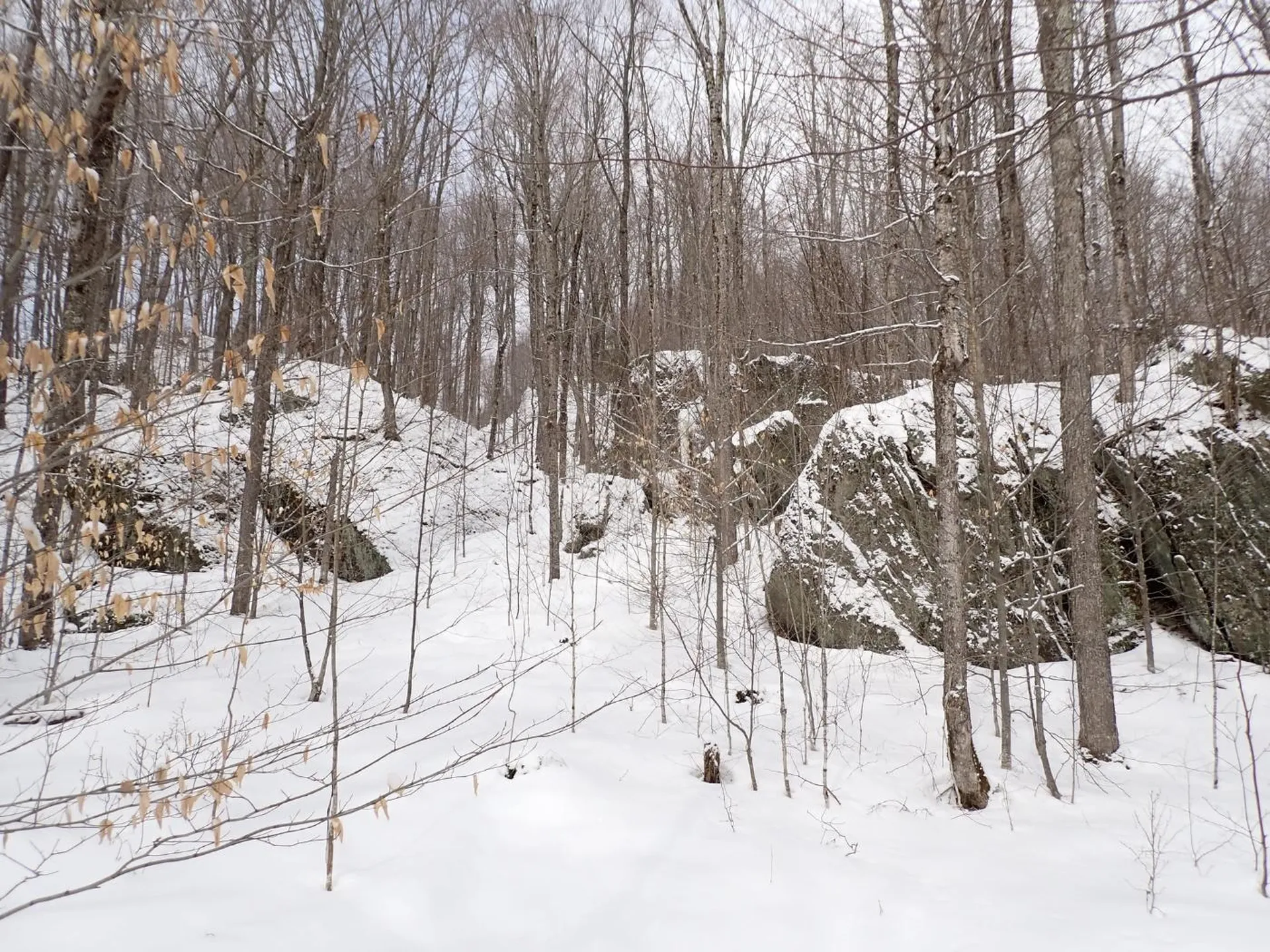 00 Plunkton Road Warren VT 05674