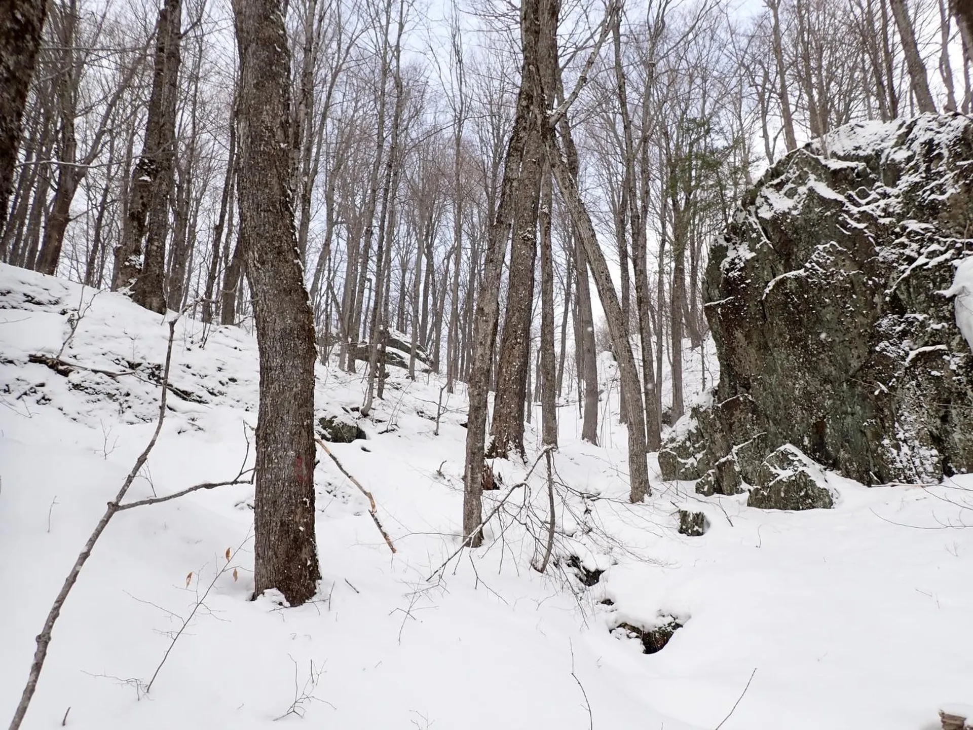 00 Plunkton Road Warren VT 05674