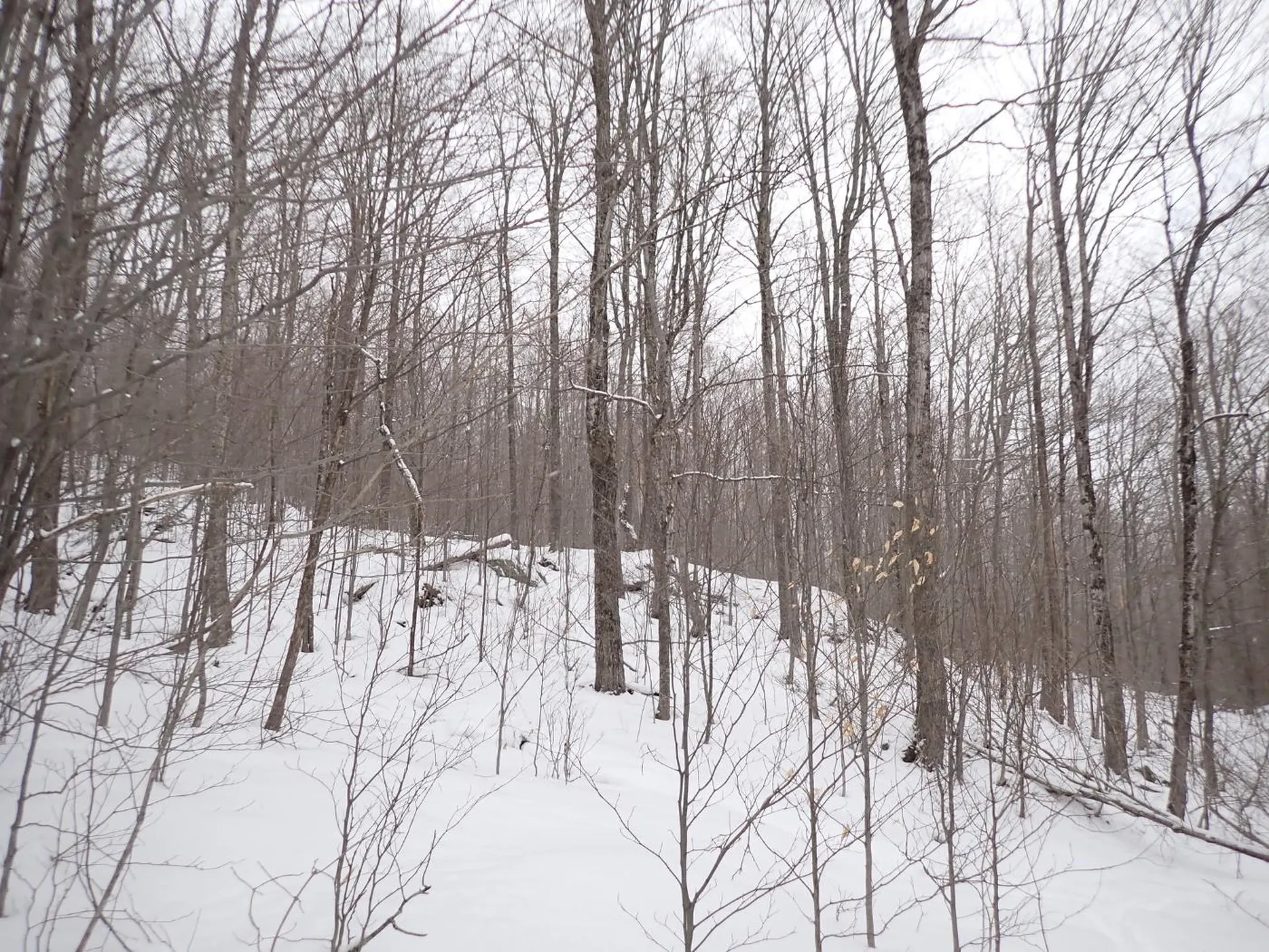 00 Plunkton Road Warren VT 05674