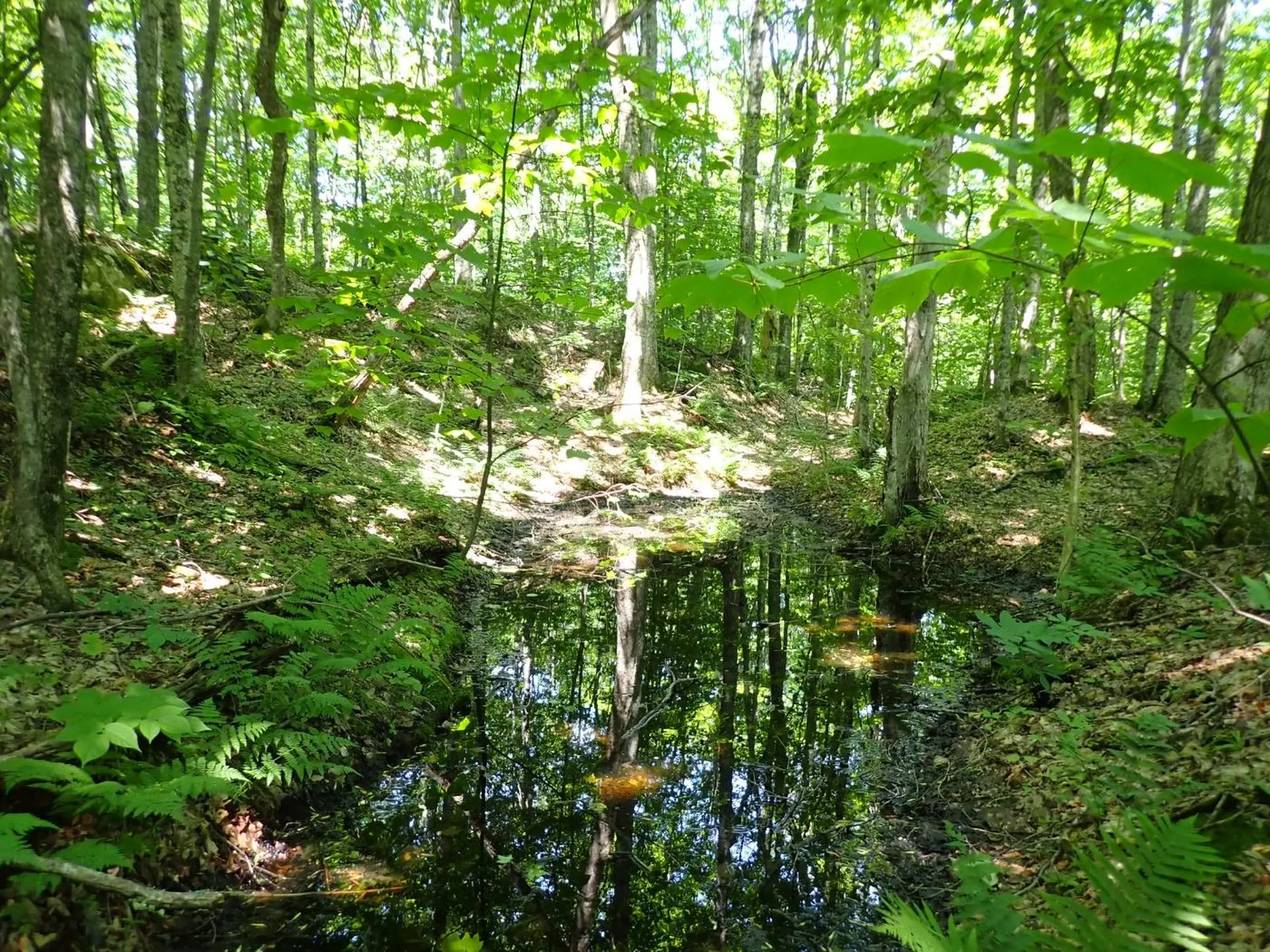 00 Plunkton Road Warren VT 05674